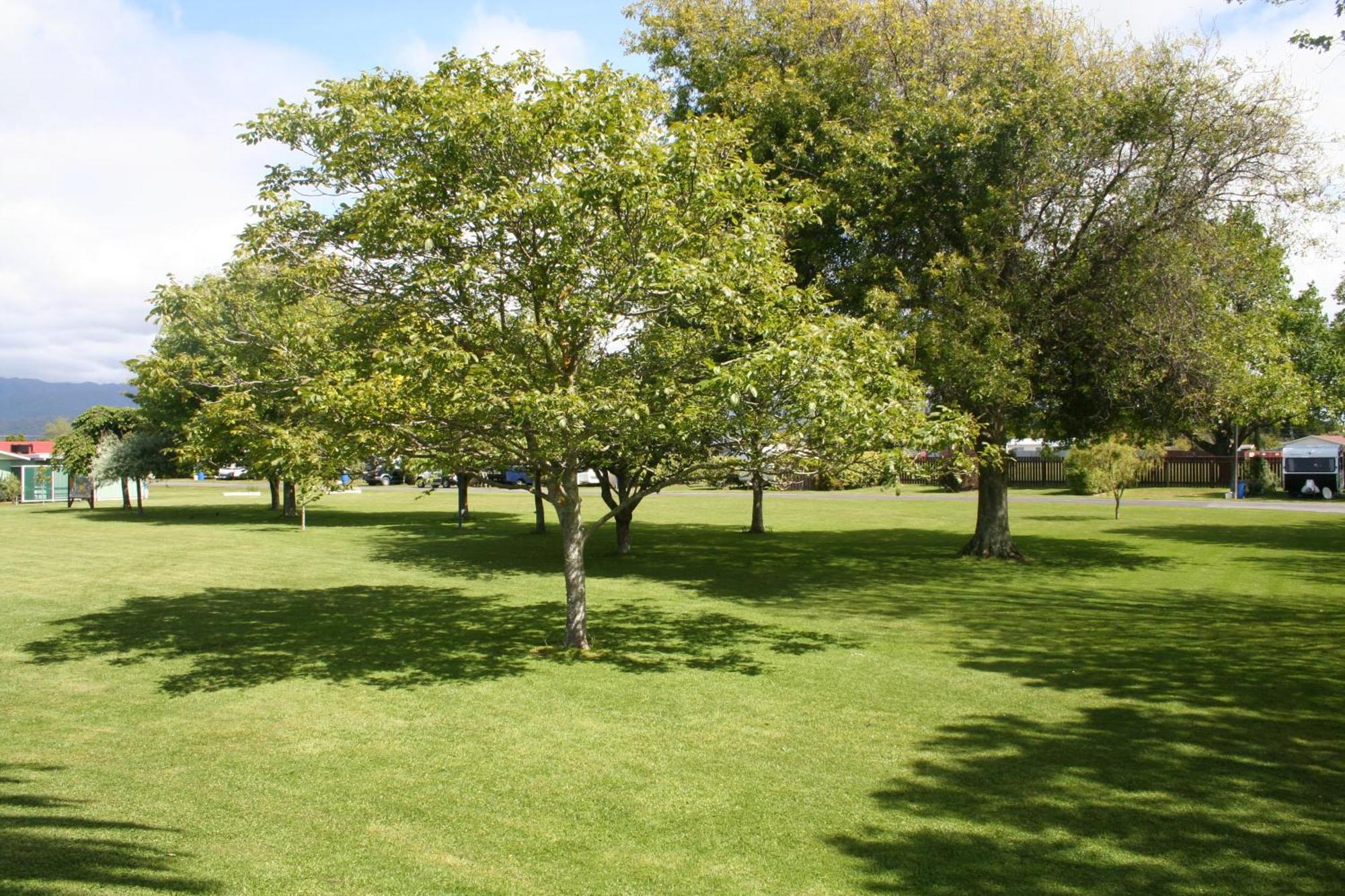 Levin Top 10 Holiday Park Exterior foto